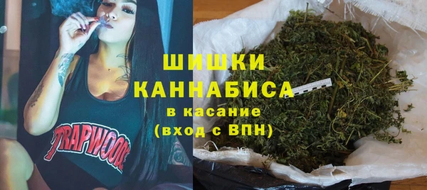 молекула духа Вязьма